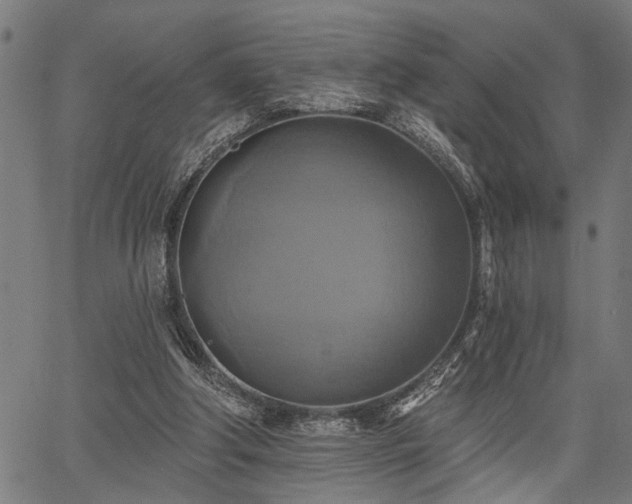 X0000067350202200604030942