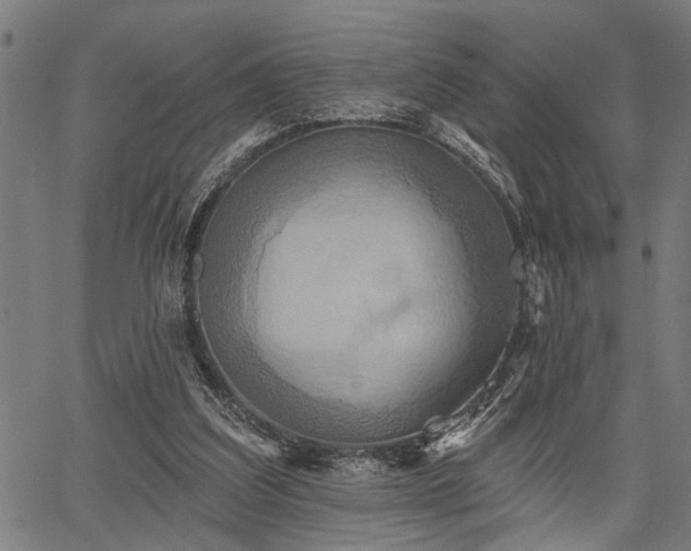 X0000067350203200604030942