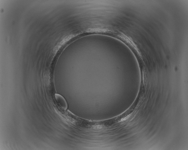 X0000067350204200604030942