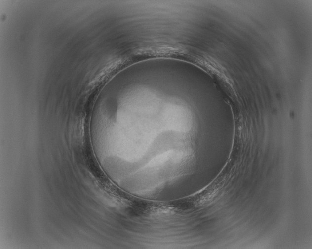 X0000067350206200604030942