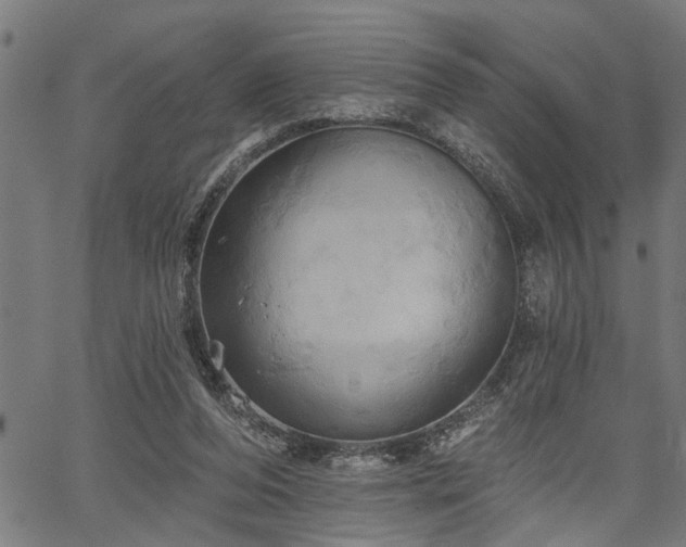 X0000067350208200604030942