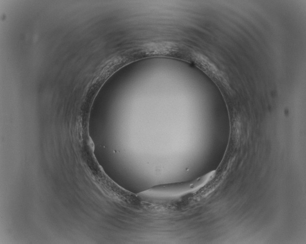 X0000067350209200604030942