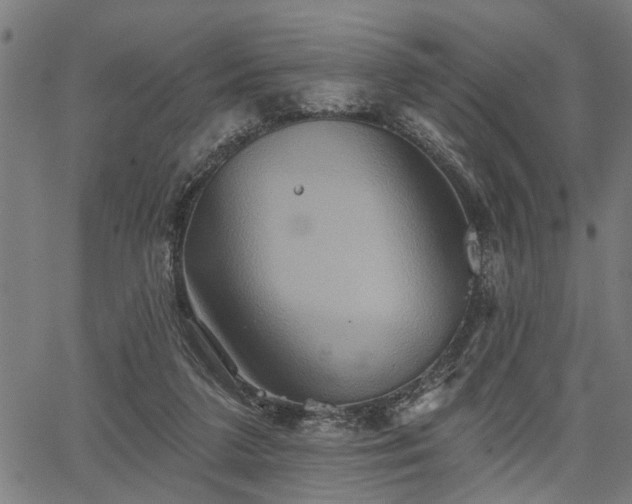 X0000067350211200604030942