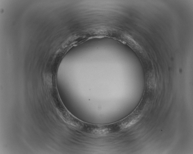 X0000067350213200604030942