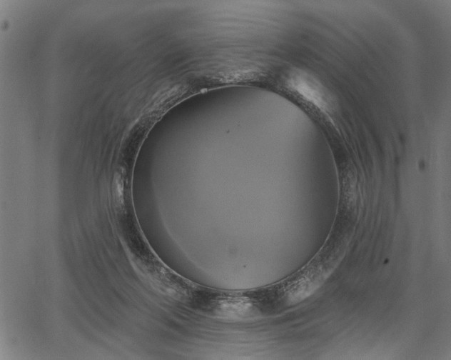 X0000067350214200604030942