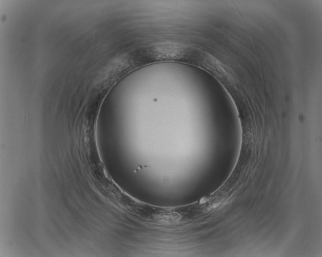 X0000067350215200604030942