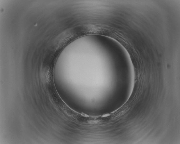 X0000067350216200604030942