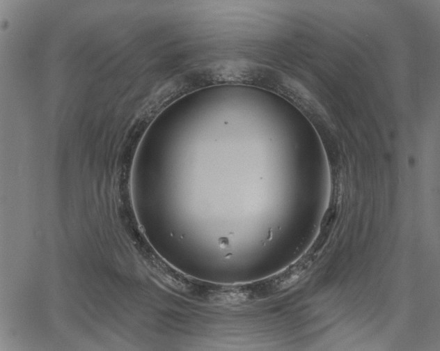 X0000067350217200604030942