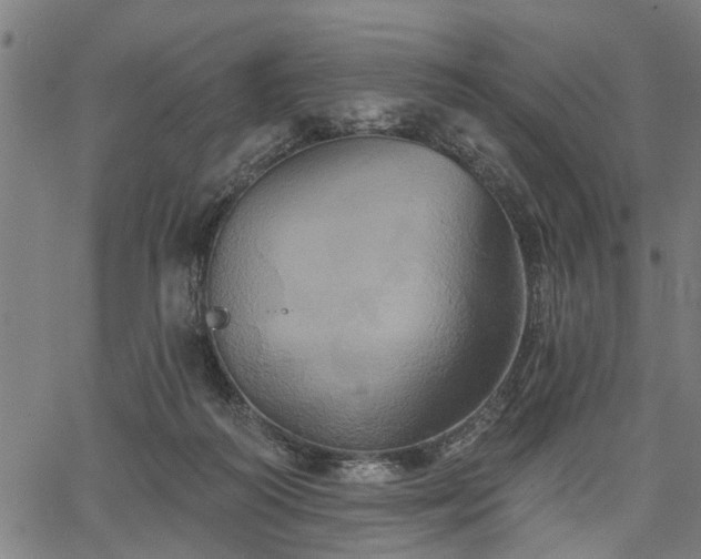 X0000067350218200604030942