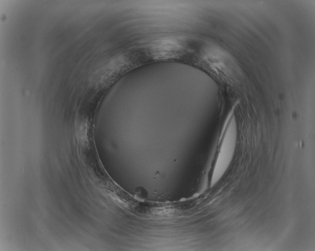 X0000067350219200604030942