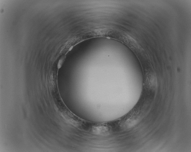 X0000067350220200604030942