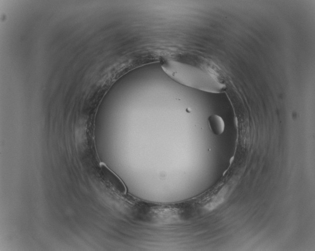 X0000067350221200604030942