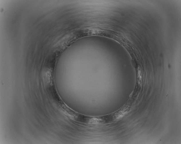 X0000067350222200604030942