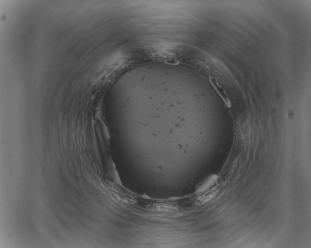 X0000067350223200604030942