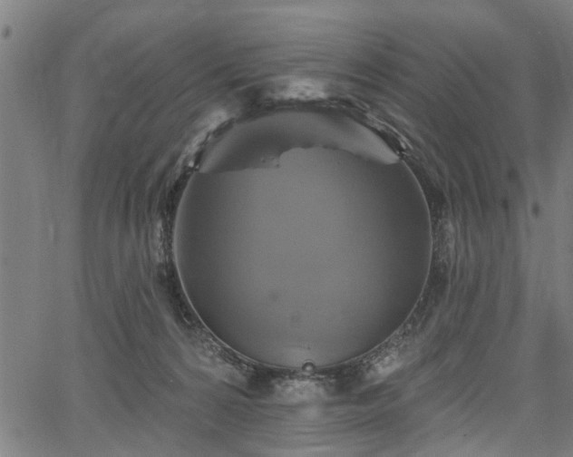 X0000067350224200604030942