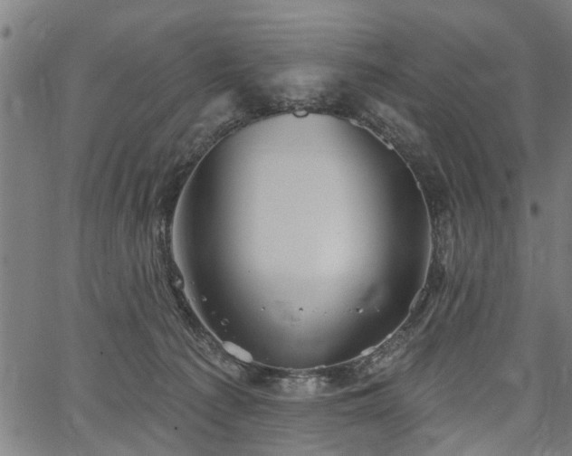 X0000067350225200604030942