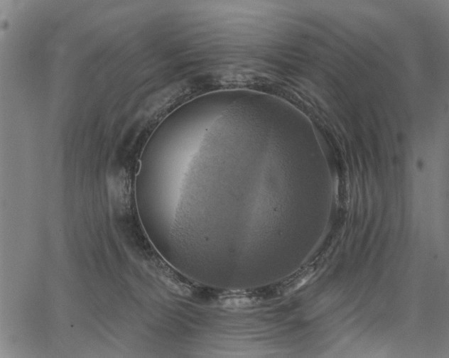 X0000067350228200604030942