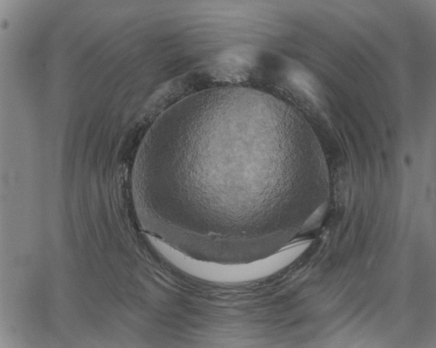 X0000067350229200604030942