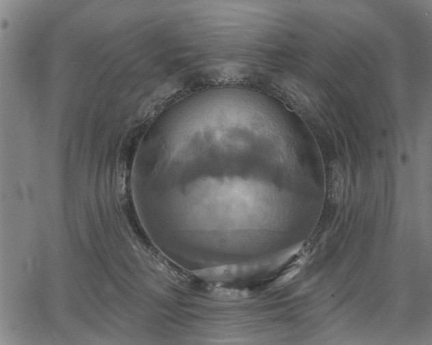 X0000067350230200604030942