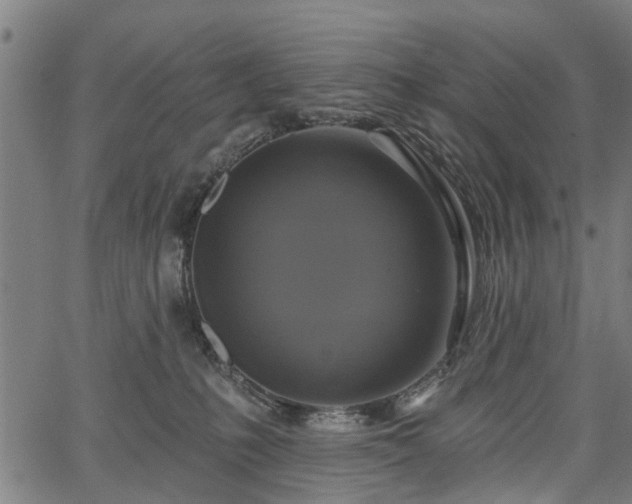 X0000067350231200604030942