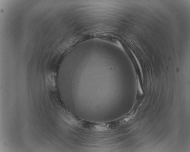 X0000067350232200604030942