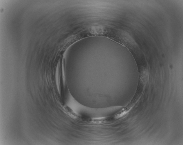 X0000067350233200604030942