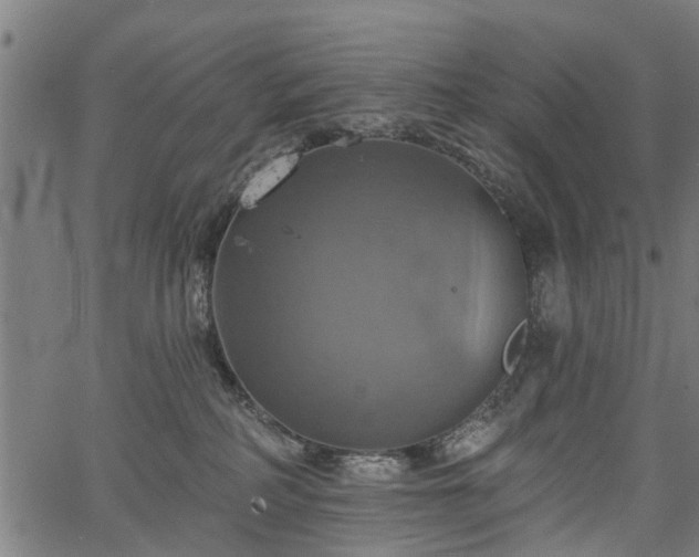 X0000067350234200604030942