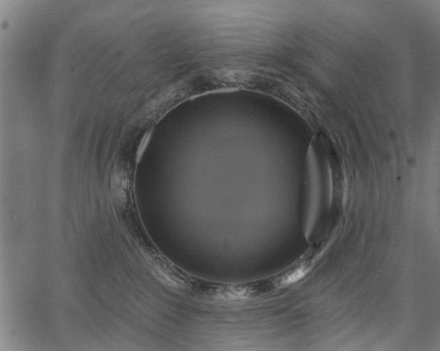 X0000067350235200604030942