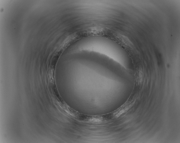 X0000067350236200604030942