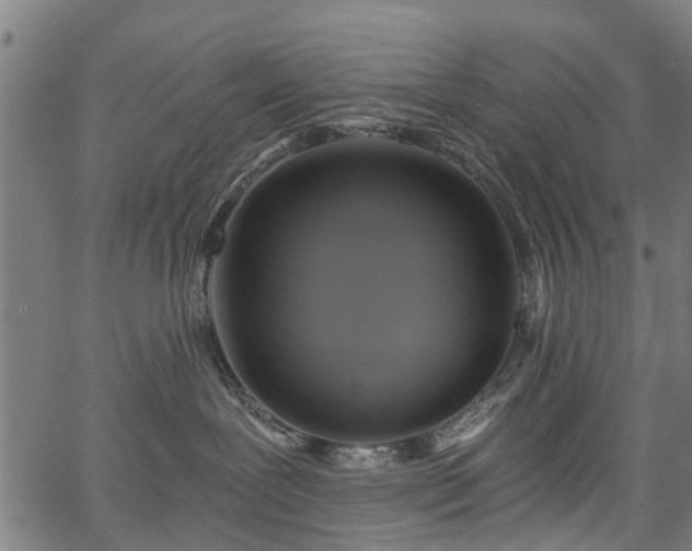 X0000067350239200604030942