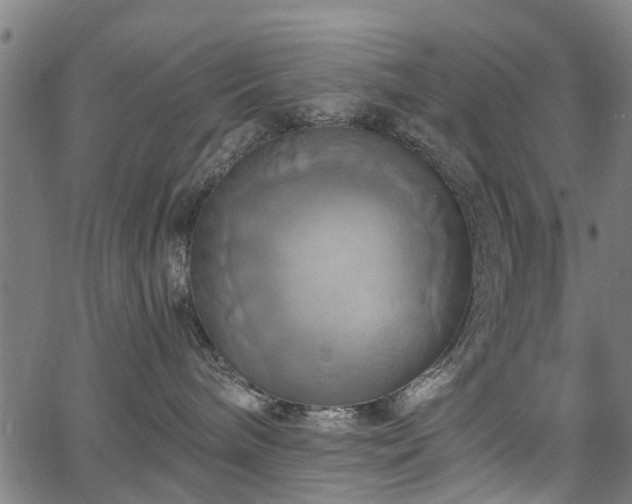 X0000067350240200604030942