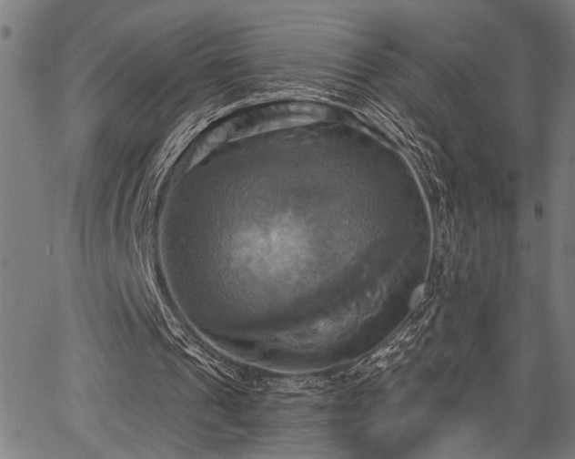 X0000067350241200604030941