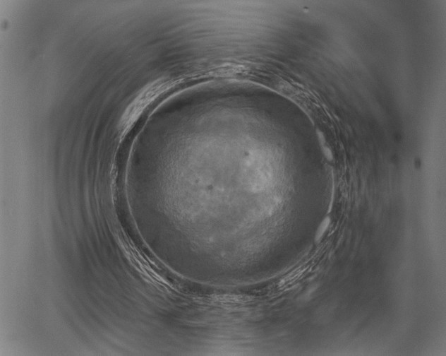 X0000067350242200604030941