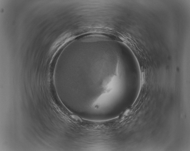 X0000067350243200604030941