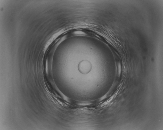 X0000067350244200604030941