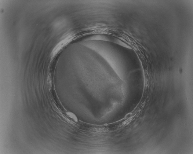 X0000067350245200604030941