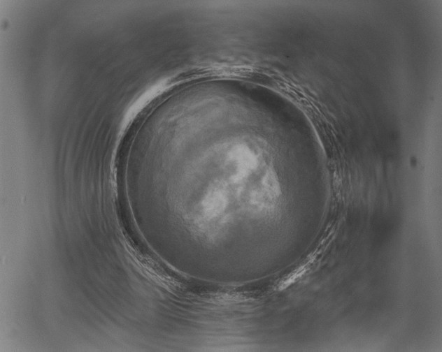 X0000067350246200604030941