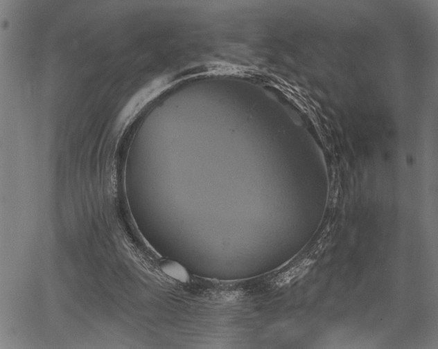 X0000067350247200604030941