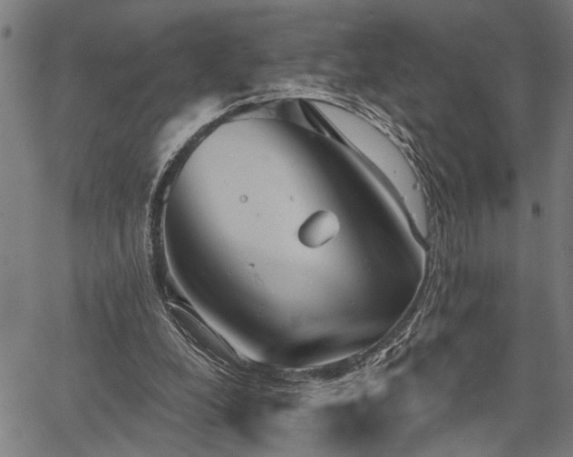 X0000067350248200604030941