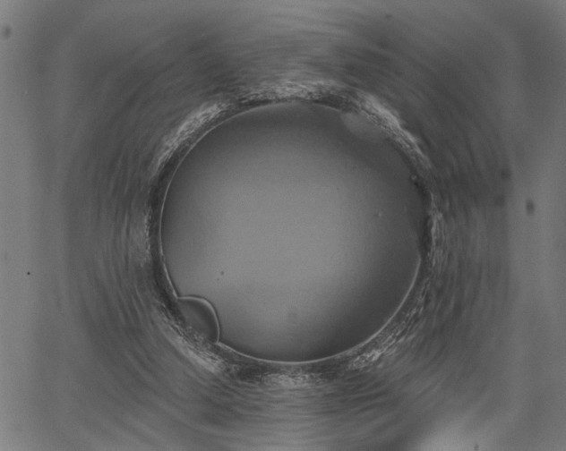 X0000067350250200604030941