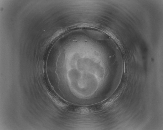 X0000067350253200604030941