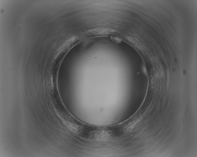 X0000067350254200604030941