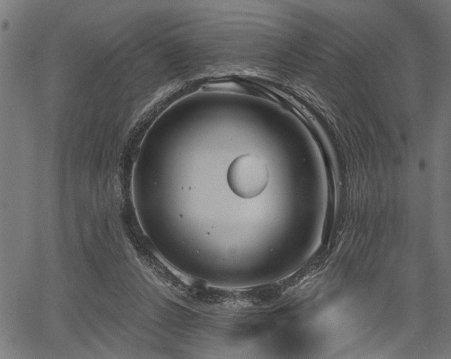 X0000067350256200604030941