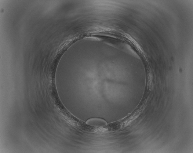 X0000067350257200604030941