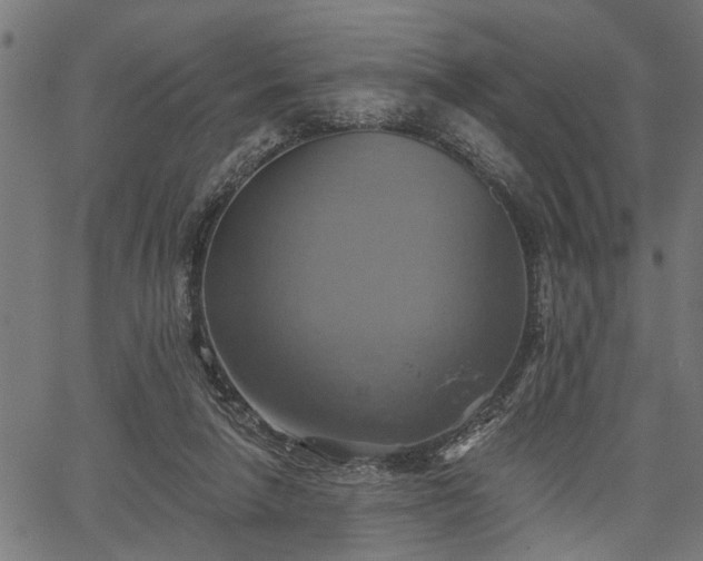 X0000067350258200604030941