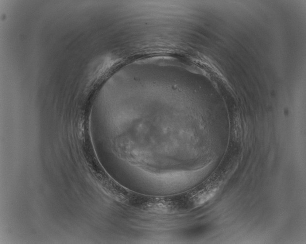 X0000067350259200604030941