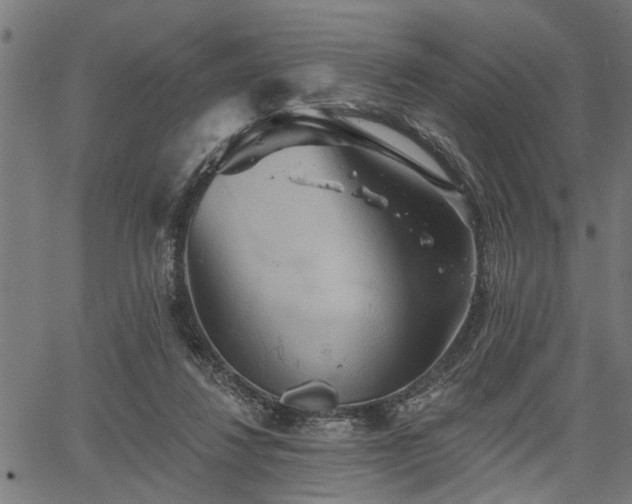 X0000067350260200604030941