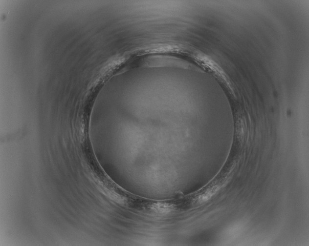 X0000067350261200604030941