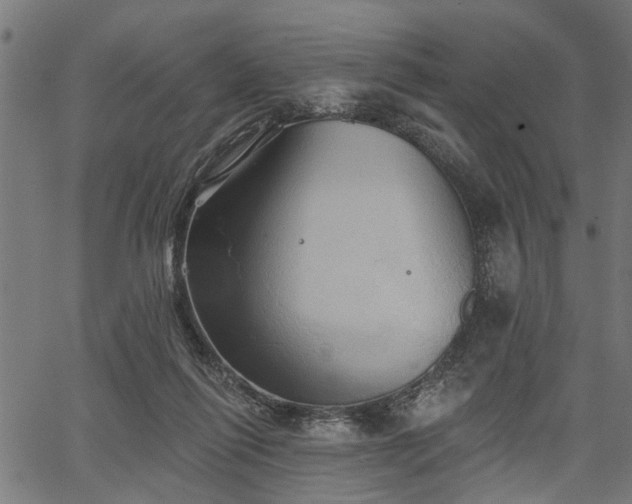 X0000067350262200604030941