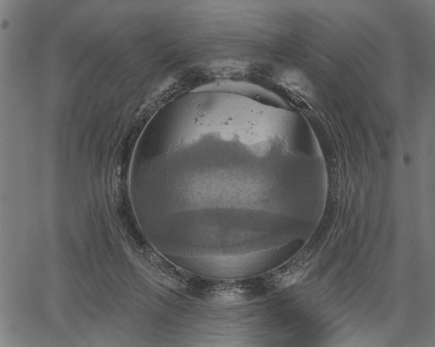 X0000067350263200604030941